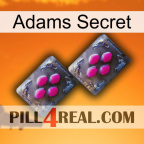 Adams Secret 01